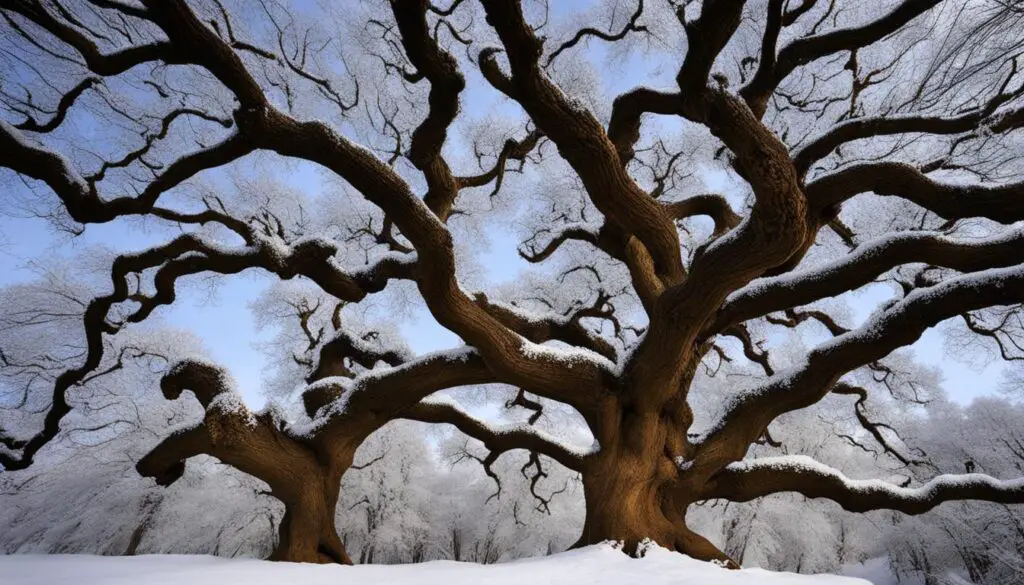 how do oak trees survive winter