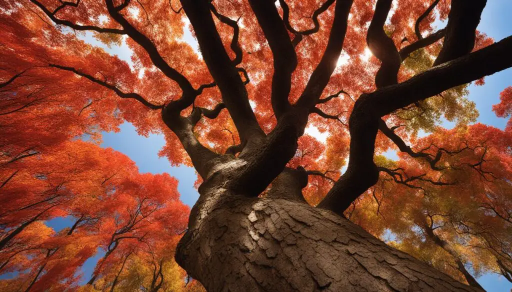 factors influencing red oak tree growth