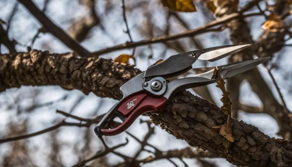 oak tree pruning