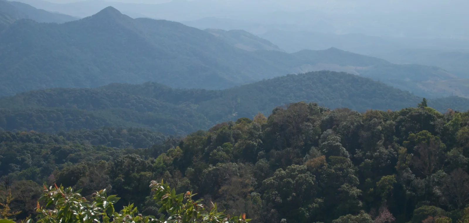 Mountain ridges of Doi Inthanon National Park in the cool season