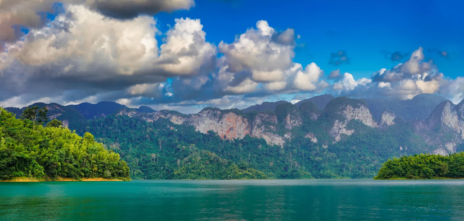 Green season rainforest and still water below the karst at Khao Sok